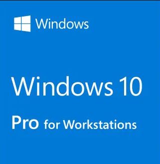 Windows 10 Pro for Workstations 309